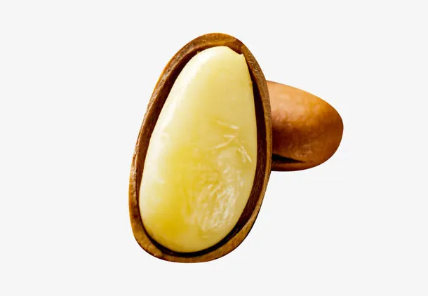 颗粒饱满的松子免抠