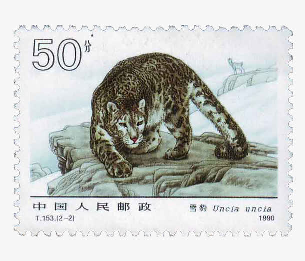 五十分雪豹图案邮票免抠