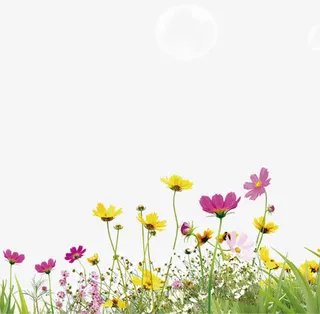 彩色草地郊外花朵气泡免抠