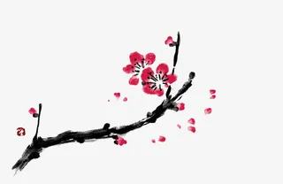 手绘梅花免抠