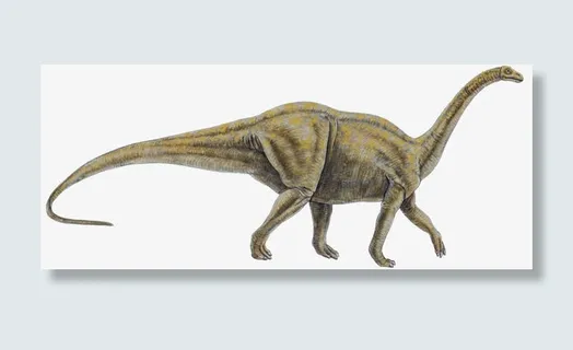 白垩纪恐龙免抠