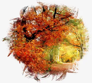 秋意浓浓免扣素材免抠