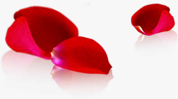 红色鲜花花瓣情人节免抠