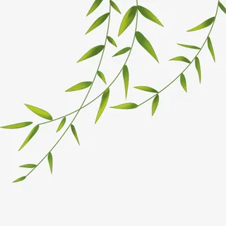 绿色清新装饰柳叶设计图免抠