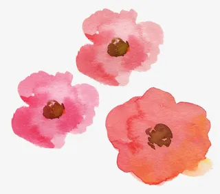 手绘水彩花卉免抠