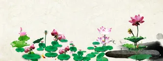 荷花背景