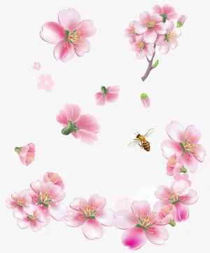 蜂随花动免抠
