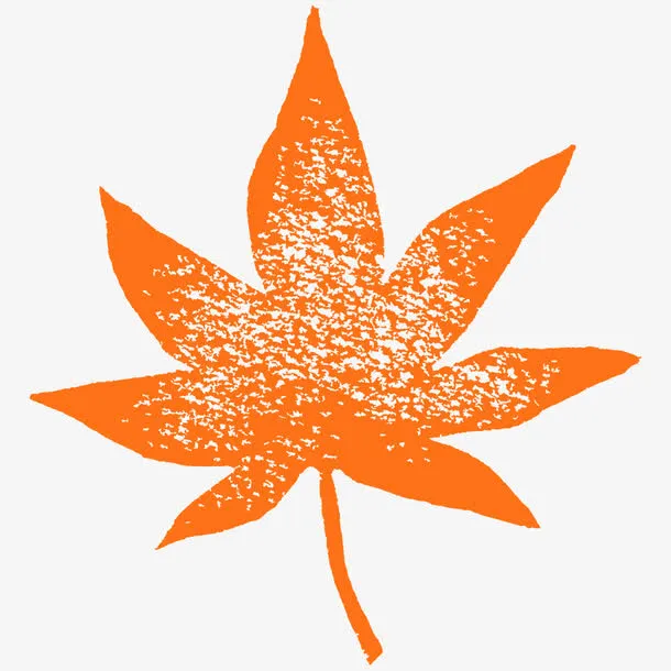 手绘枫叶免抠
