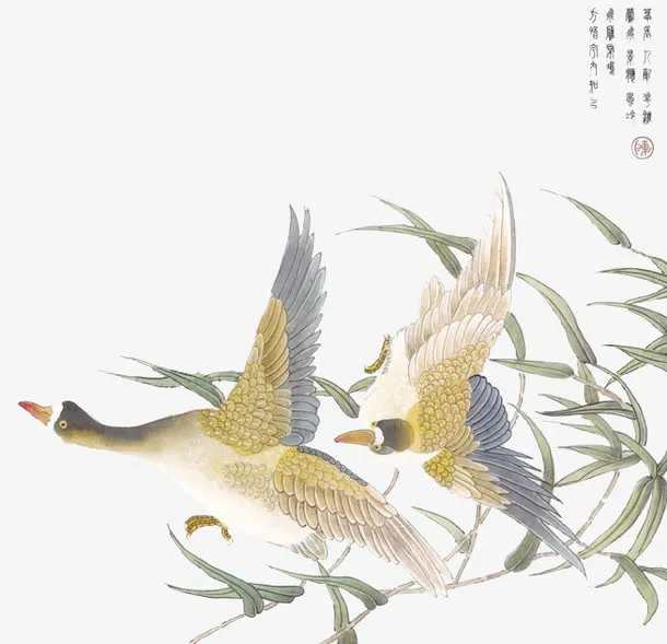树叶免抠
