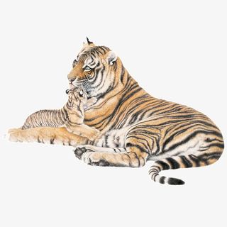 手绘老虎免抠