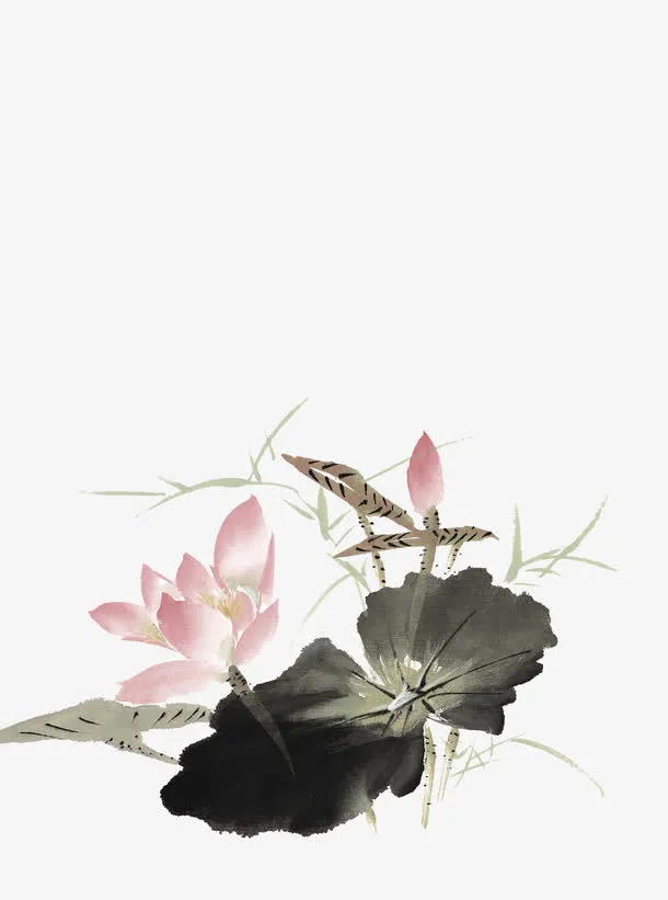 水墨荷花免抠