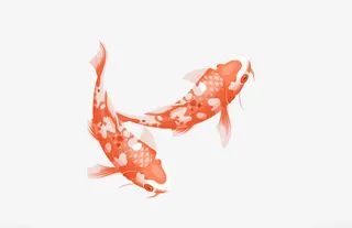 新年锦鲤好运免抠