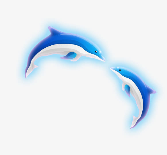 蓝光海豚免抠