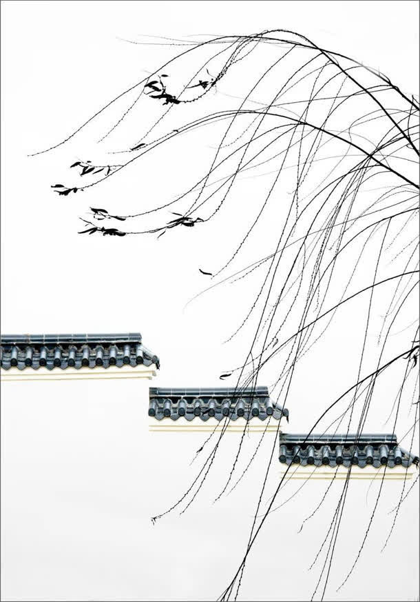 中国风水墨树叶建筑免抠