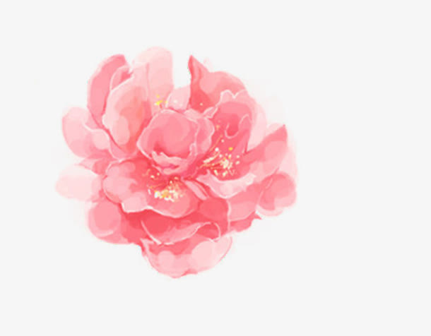 手绘粉红花免抠