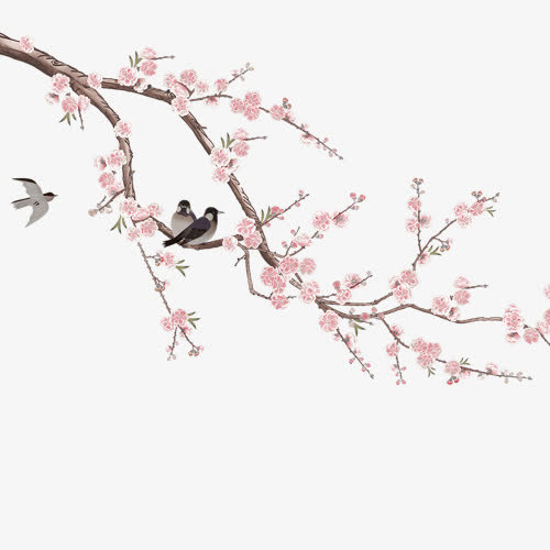 花朵装饰免抠