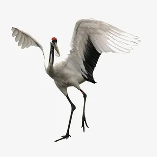 中国风之仙鹤免抠