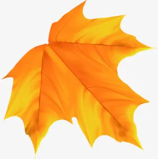 金秋聚划算入秋叶落送好礼免抠