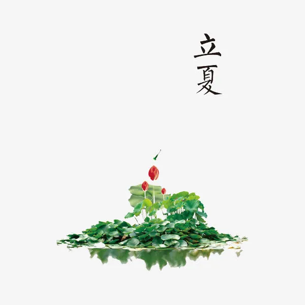 二十四节气立夏免抠