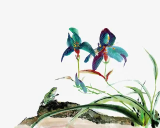 水墨兰花青蛙免抠
