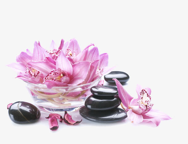 鲜花石头免抠