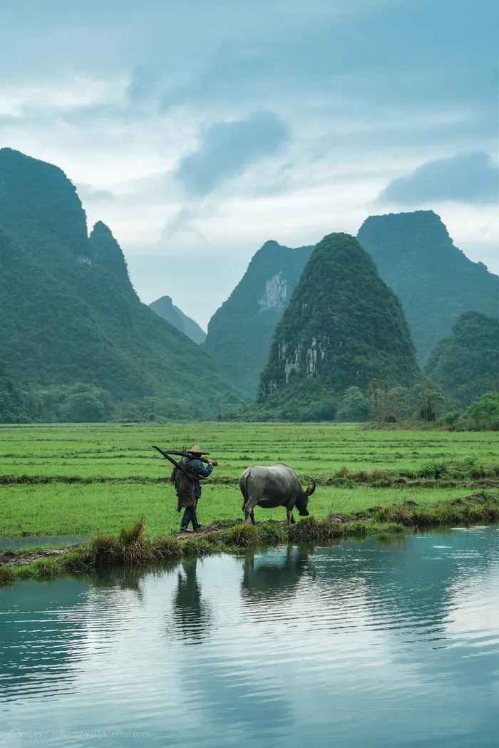 谷雨 风景 自然 背景高清