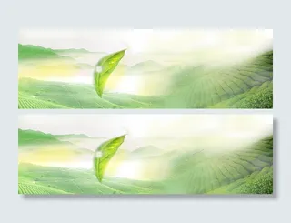 春茶、茶叶广告Banner高清