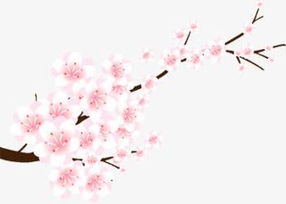 手绘梅花png素材免抠