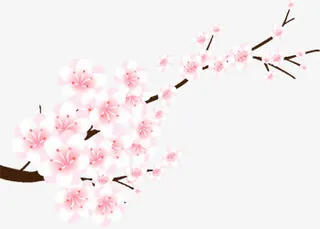 手绘梅花png素材免抠