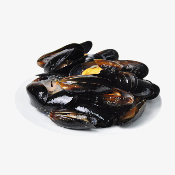 海鲜淡菜青口贝免抠