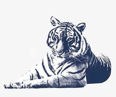 虎虎生威 卧虎藏龙免抠