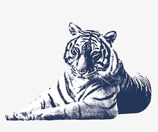 虎虎生威 卧虎藏龙免抠