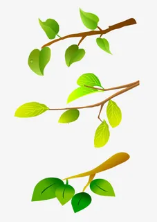 树枝树叶素材免抠