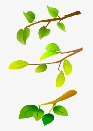 树枝树叶素材免抠