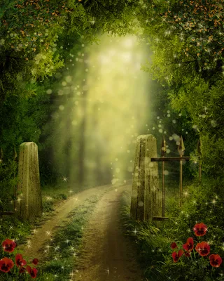 魔幻绿色森林背景高清