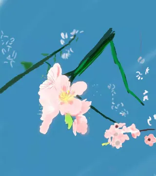 桃花春天 踏春背景粉粉桃花蓝蓝天空免抠背景其他元素