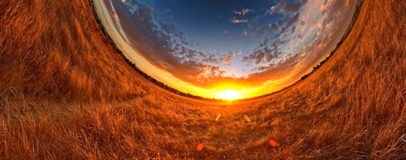 曲面变形 麦田高清