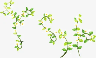 手绘绿色叶子春天风景免抠