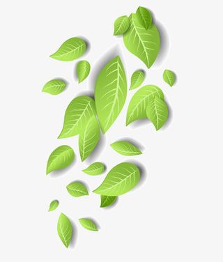 绿色茶叶茶叶手绘春天绿叶飘零绿免抠