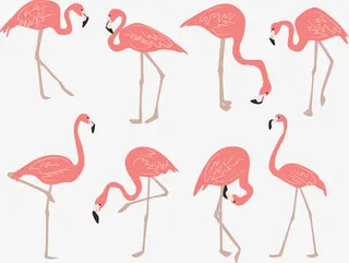 矢量图丹顶鹤免抠