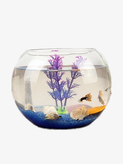 海底世界免抠