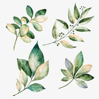 手绘水彩绿色叶子装饰免抠手绘/卡通手绘元素