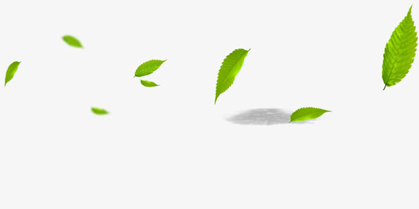 漂浮的树叶免抠