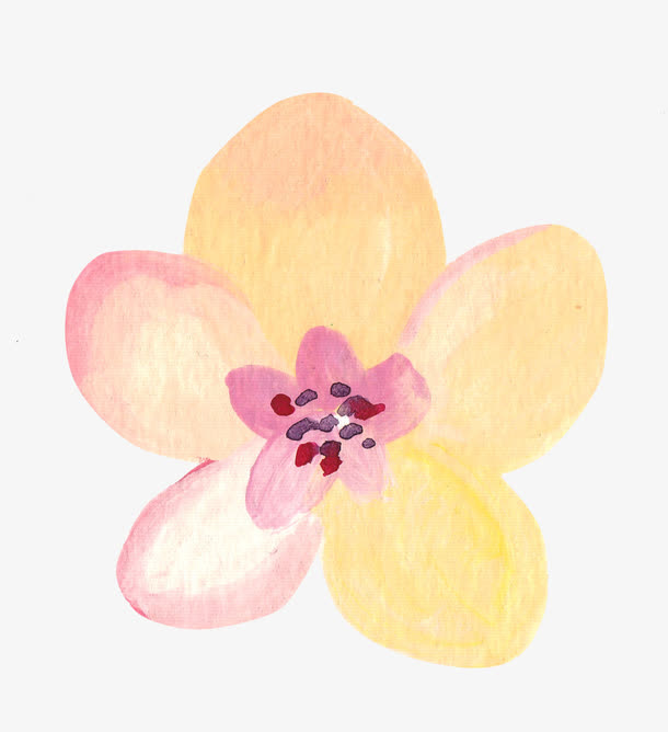 手绘花朵免抠