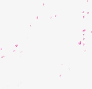 飘落飞扬的花瓣免抠