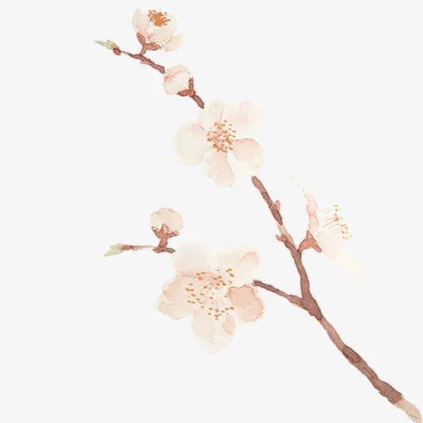 手绘水彩桃花枝装饰素材免抠