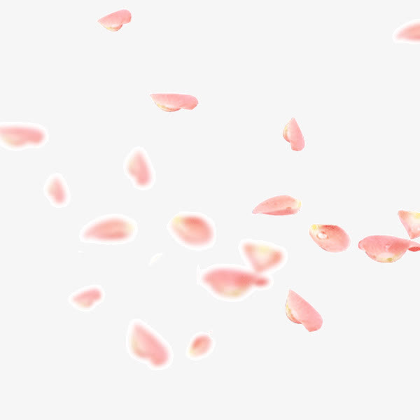 粉色撒花庆祝免抠漂浮花瓣元素