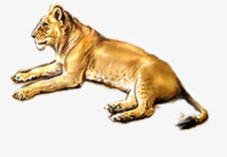 手绘老虎动画海报免抠 手绘老虎动画海报免抠