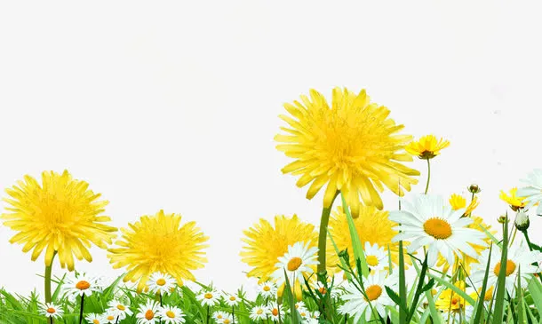 花儿免抠