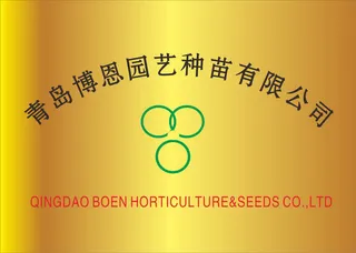 钛金牌png元素免抠